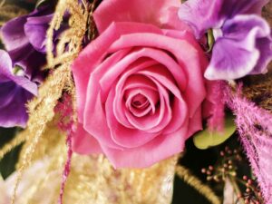 Une rose, l'éternelle !