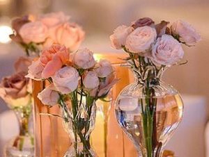 roses dans vase