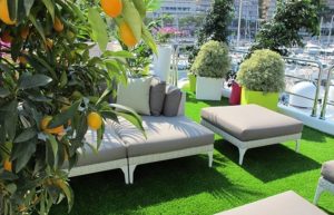 Des fleurs et des plantes pour Yachts et navires