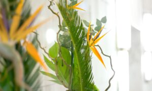 photo d'une réalisation dans le cadre d'un abonnement floral