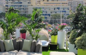aménagement et décoration florale pour Yachts et navires