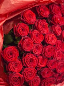 Un gigantesque bouquet de roses rouges à offrir