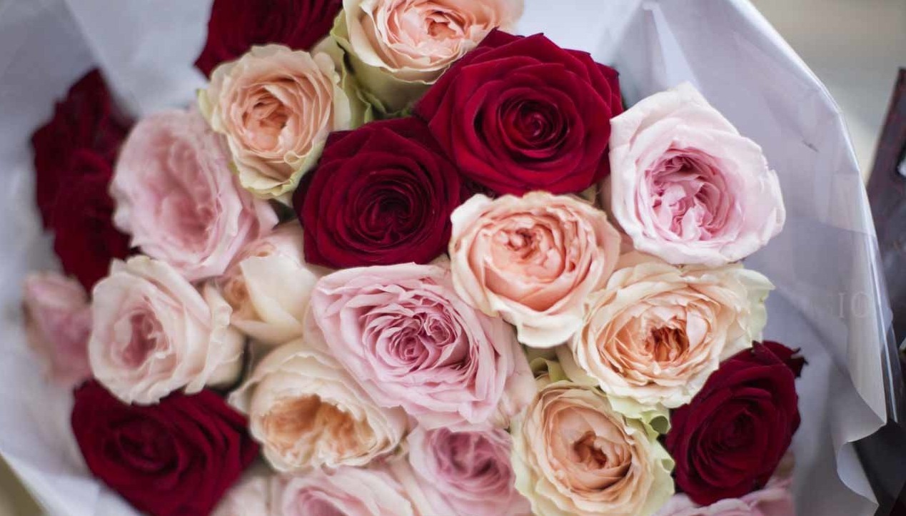 Close up on a bouquet of roses