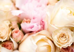 Gros plan sur de belles roses et des pivoines