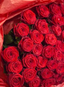 Close up on the satin aspect of these red roses