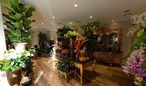 Boutique Charlotte, photo de l'intérieur