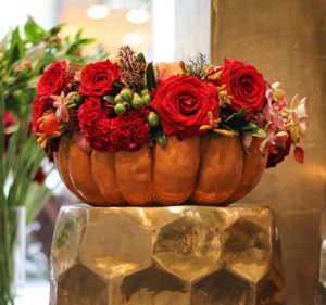 Citrouilles, potirons et fleurs pour Halloween