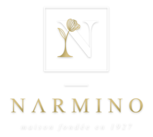 logo Narmino