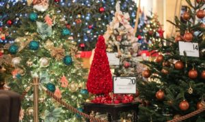 Le Sapin de Noël pour Action Innocence Monaco