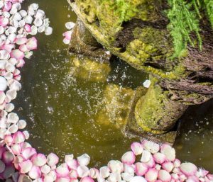 Un mariage fleuri à Saint-Jean-Cap-Ferrat