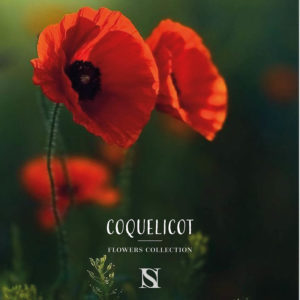 coquelicot