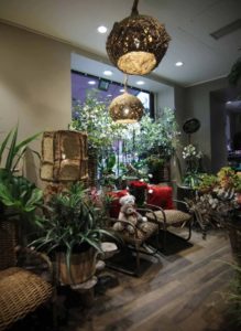 Mobilier, plantes et bouquets