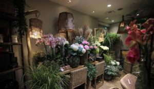 Our new chic country decoration