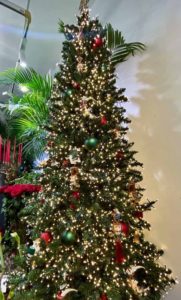 Un sapin de Noël