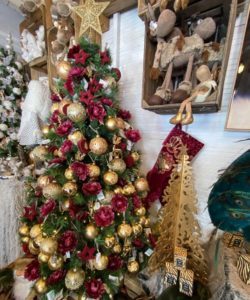 Un sapin à découvrir à notre chalet éphémère
