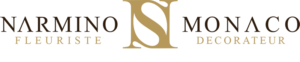 logo-narmino-3D-800