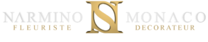 logo-narmino-3D-blanc-grand