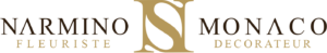 logo-narmino-3D-grand