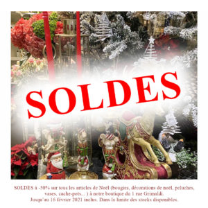 Visuel soldes Narmino Fleurs