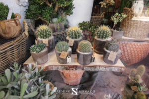 Votre fleuriste préféré vous propose ses cactées et plantes grasses