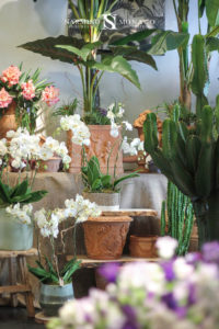 Décoration du mois d'août à notre boutique Grimaldi