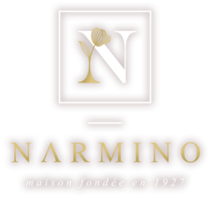 logo Narmino