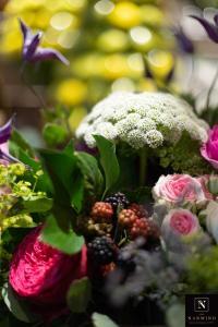Quelques fleurs, des roses, des mures, et autres