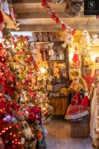 Fleurs, sapins et décorations de Noël