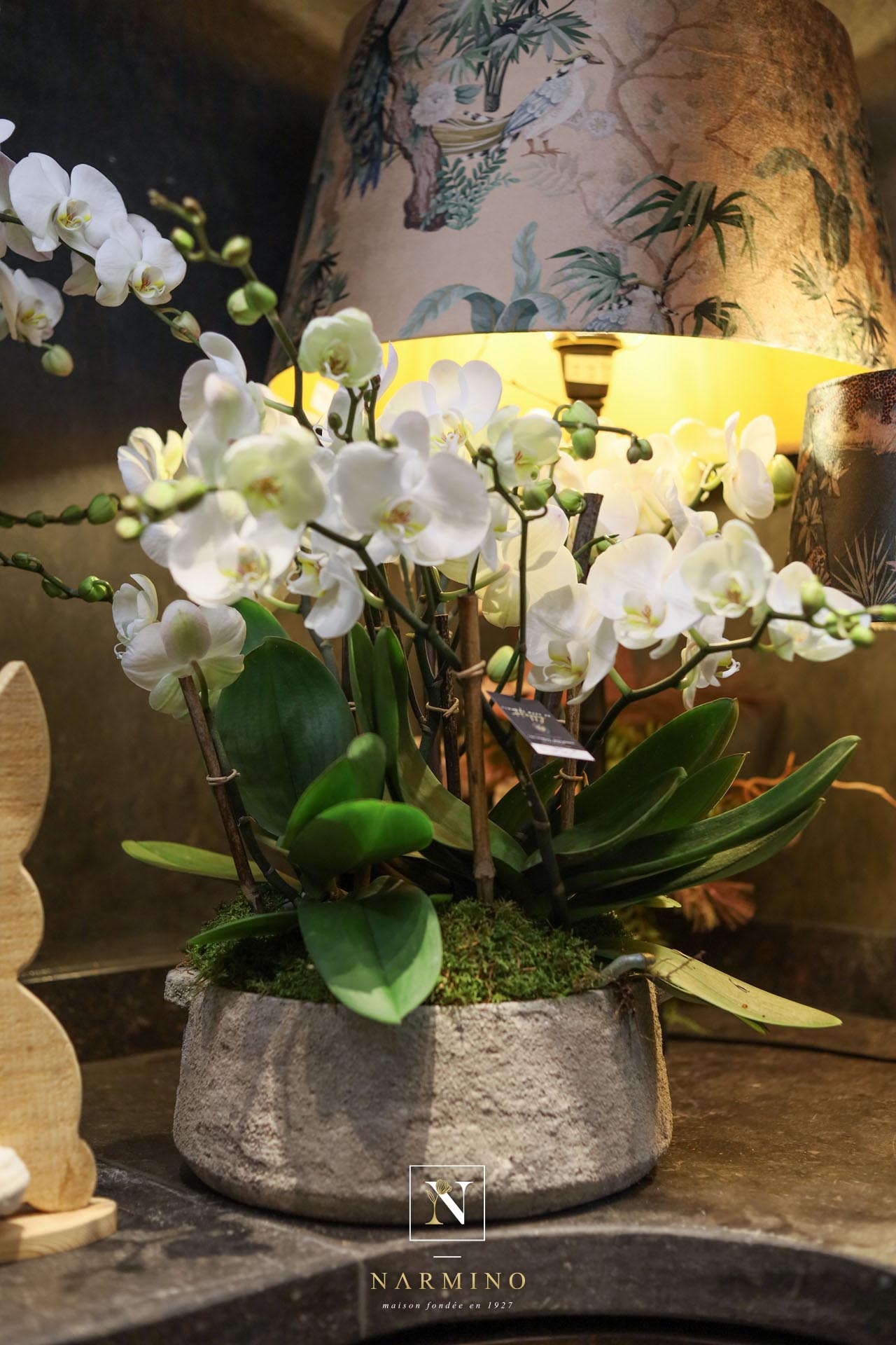 De magnifiques orchidées blanches en pot