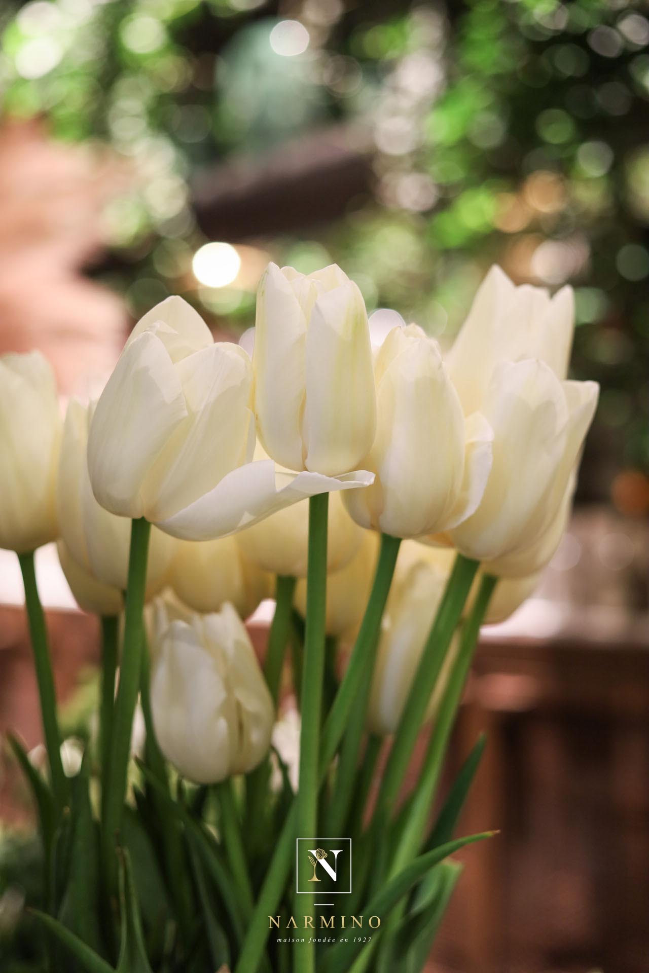 De magnifiques tulipes chez Narmino, fleuriste à Monaco