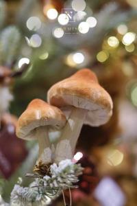 Champignon décoratif