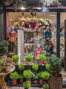 Vitrine Narmino boulevard Princesse Charlotte