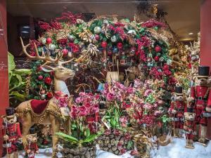Vitrine Narmino boulevard Princesse Charlotte