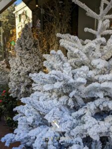 Promotion sur certains sapins et couronnes de Noël