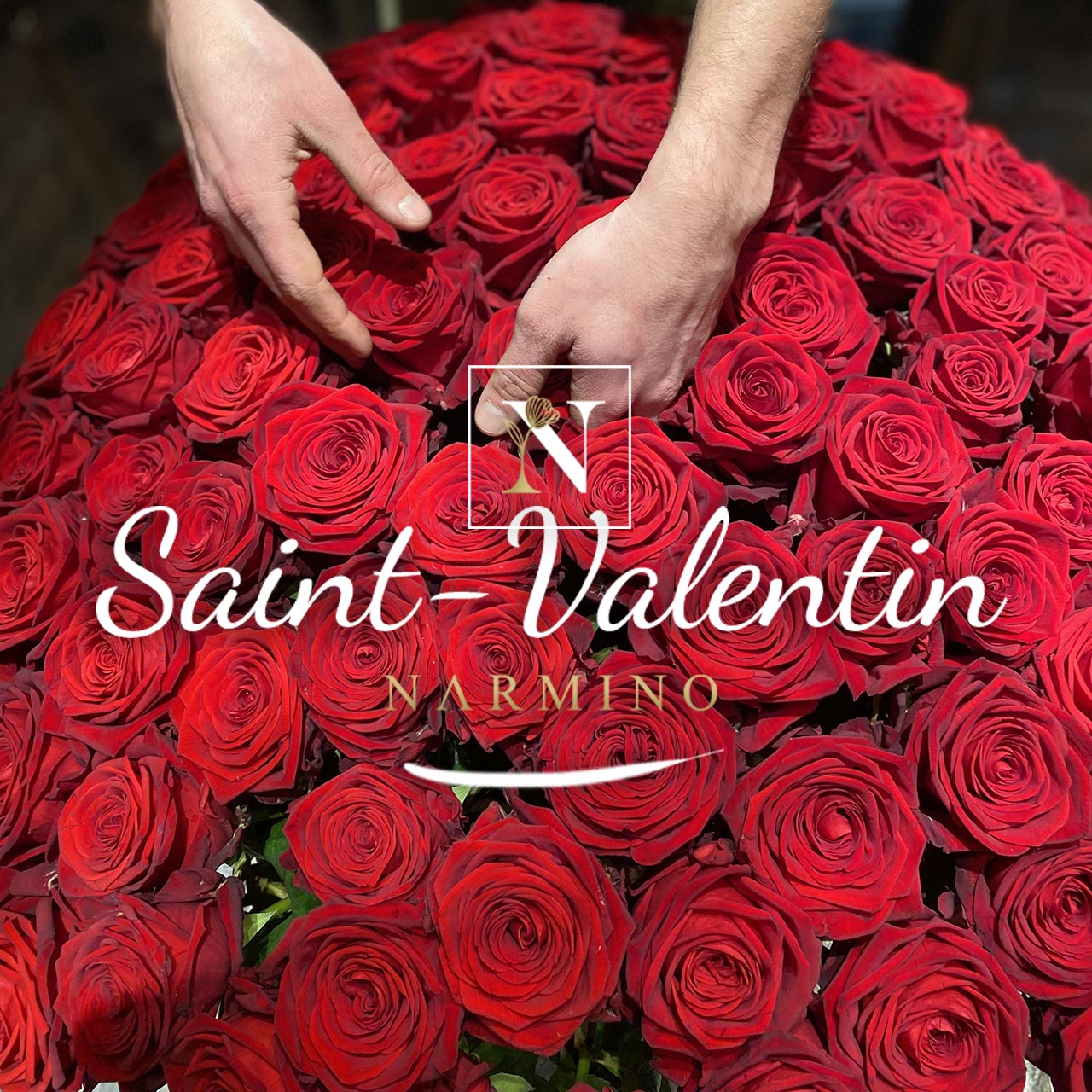 Offrir des roses rouges à la Saint-Valentin