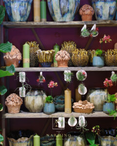 Notre collection de vases