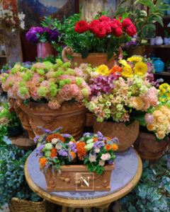 Vases en terracotta, fleurs et bouquets