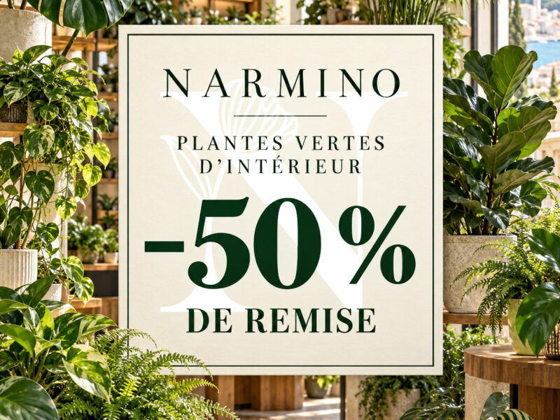 Promotion -50% sur les plantes vertes d'intérieur chez Narmino