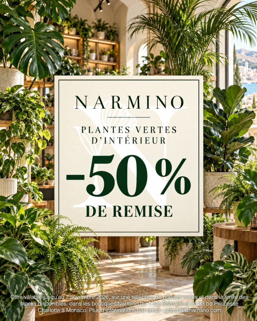 Promotion -50% sur les plantes vertes d'intérieur chez Narmino