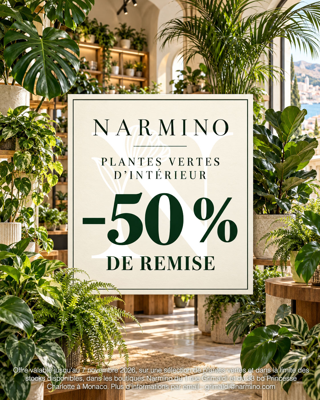 50% off indoor green plants at Narmino